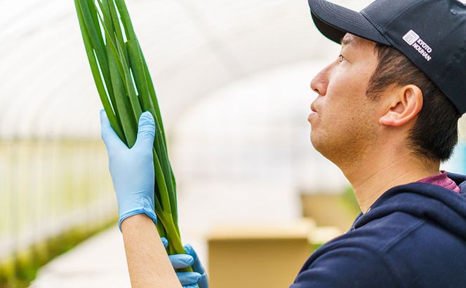 九条ねぎ農家が作ったねぎギョーザ（12個入×10袋）ぎょうざ 餃子 ギョーザ 九条ねぎ 京野菜 冷凍 冷凍餃子 惣菜 国産豚肉 ジューシー おかず つまみ 酒の肴 夕飯 晩御飯 手軽 便利