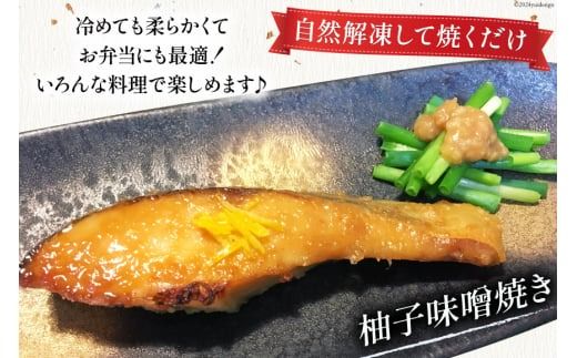 鮭 切り身 塩銀鮭パック 3切 ×3袋 計9切 [たみこの海パック 宮城県 南三陸町 m304amh560065] サーモン 銀鮭 塩銀鮭 シャケ 切身 さけ サケ 国産 小分け 個包装 冷凍