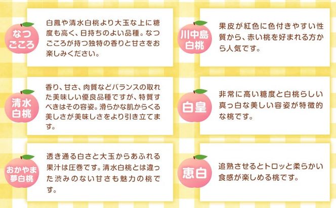 【令和7年度先行予約】桃 旬 旬の桃 ご家庭用 選べる内容量 1.4kg (4～6玉) 2kg (5～10玉) フルーツファーム岡山《2025年6月下旬-9月中旬頃出荷》岡山県 浅口市 送料無料 フルーツ モモ 果物 青果 旬 国産 岡山県産【配送不可地域あり】---124_c759_6g9c_24_13000_14---