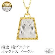 純金 純プラチナ ネックレス レディース イーグル 24k ペンダントトップ ゴールド pt999 プラチナ チェーン K24 金属アレルギー 対応 レリーフ柄 地金 ジュエリー シンプル 人気 普段 使い 250601mro201nc SWAA352