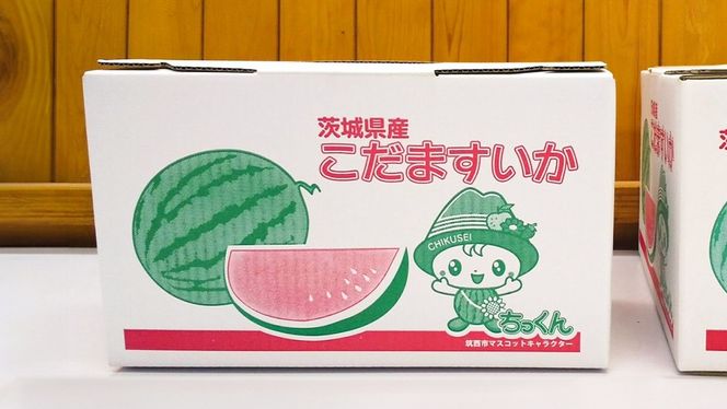 【 先行予約 】 希少品種 「 紅トップ 」 茨城県産 小玉 すいか  2玉入り Lサイズ スイカ  [AG003ci]