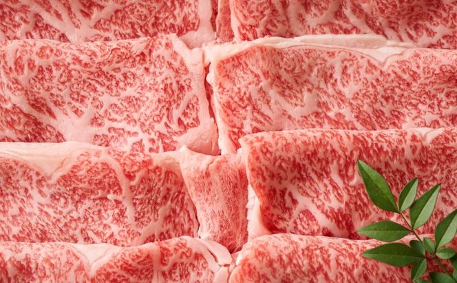 【厳選部位】 博多和牛 A4以上 しゃぶしゃぶすき焼き用 1kg(500g×2パック)