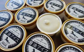 【 小豆島 】醤油アイス　90ml×11個入り お菓子 