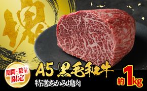 【期間・数量限定】大府市特産　A5黒毛和牛特選あかみ塊肉　1.0kg 232238_N057