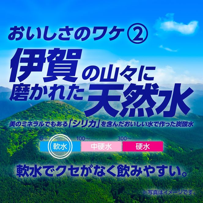 サンガリア伊賀の天然水 強炭酸水2ケース（1リットル×24本） 【igge0002】
