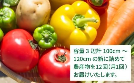 【 全12回 定期便 】 福岡県 糸島産 旬 の 野菜 盛り合わせ セット 《糸島》【株式会社フロンティア・アドバンス】[AWC009] 旬 季節 野菜 詰め合わせ セット 糸島野菜 直売所 定期便