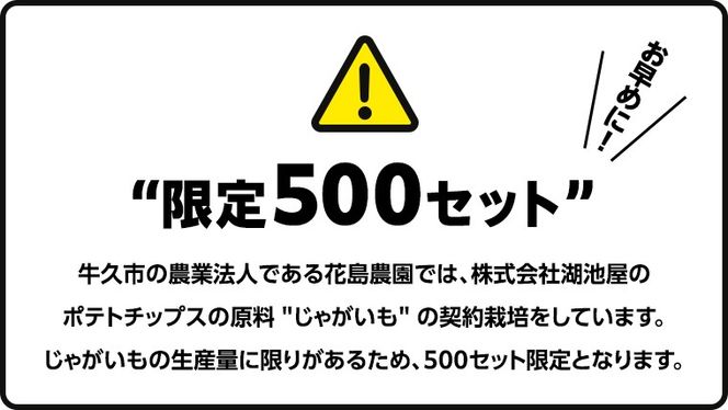 湖池屋 プライドポテト55g 2種類 詰め合わせ セット ポテチ お菓子 おかし スナック ポテトチップス のり塩 塩 ポテト 数量限定 まとめ買い