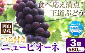 岡山県産ニューピオーネ 3房（580g以上） 先行受付 《年9月中旬-10月下旬頃出荷》 【配送不可地域あり】---H-77---