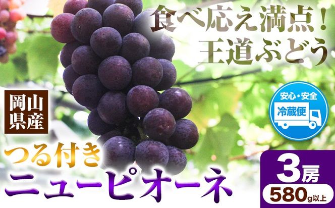 岡山県産ニューピオーネ 3房（580g以上） 先行受付 《年9月中旬-10月下旬頃出荷》 【配送不可地域あり】---H-77---