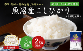 【令和7年産米】魚沼産こしひかり(十日町地域) 精米 2kg 3月配送 お米 精米 こめ ご飯 白米 旧：五郎兵衛