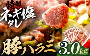 豚ハラミ特製ねぎ塩　3.0kg 【kw0096-0985】