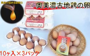 卵 神代の味の再現 奥美濃古地鶏の卵 鶏卵 たまご 玉子 