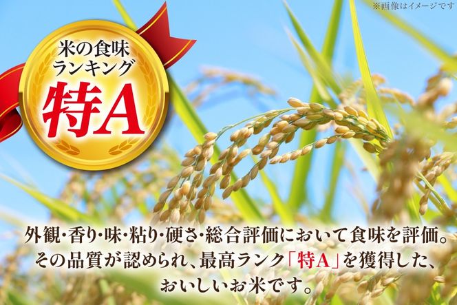 米 令和7年産 JA新すながわ産 ななつぼし 5kg [ホクレン商事 北海道 砂川市 12260894] お米 北海道産 ブランド米 北海道米 コメ 白米 ごはん ご飯 国産
