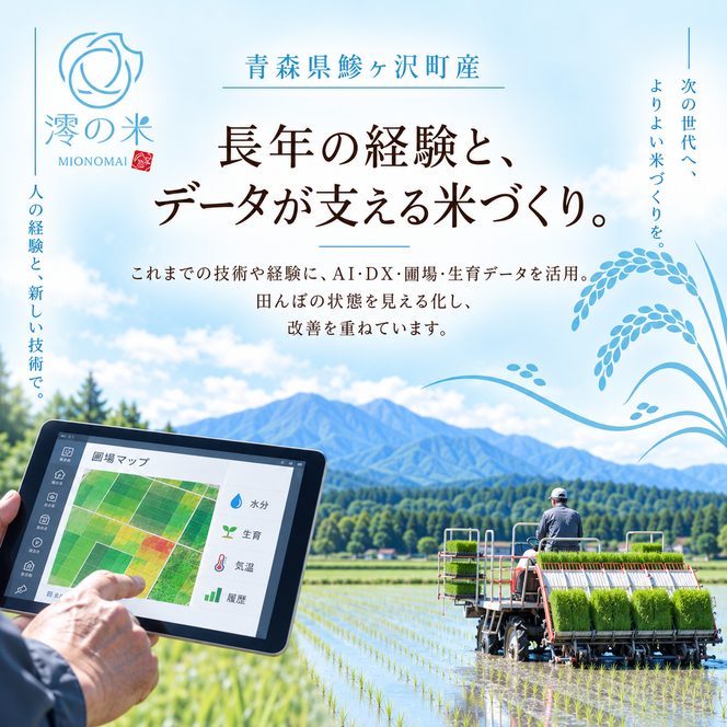 【6回定期便】米 5kg 白米 はれわたり イワモトファーム 青森県産 令和8年産 6ヶ月 定期便 新米 ごはん ご飯 ブランド米 特選米 精米 直送 農家直送 お取り寄せ お米 こめ コメ 白飯 国産 お弁当 もっちり 送料無料