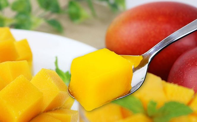 【2026年発送】金武町のアップルマンゴー◆贈答用◆1kg以上（2～3玉） アーウィン 果物 甘い 夏 濃厚 ギフト Mango ランキング 完熟 お気に入り 収穫 人気 甘味 フルーツ 沖縄県 先行予約 食品 デザート 産地直送 送料無料