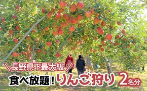 長野県下最大級 りんご狩り体験 りんご狩り発祥園 体験チケット 環境 優しい 安心 安全 こだわり 低農薬 有機肥料 循環型 定番 オリジナル 新品種　 