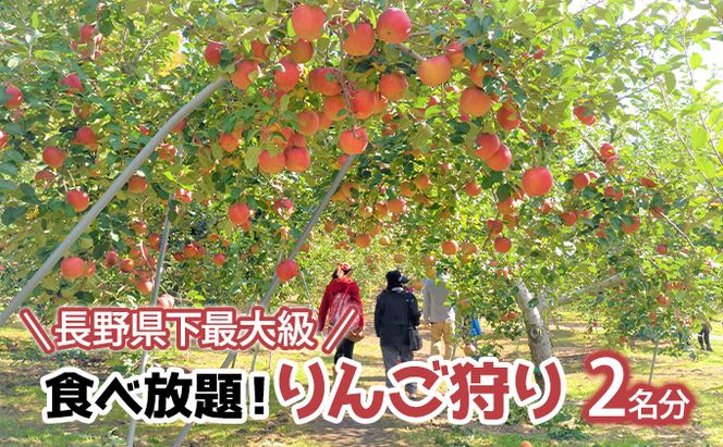 長野県下最大級 りんご狩り体験 りんご狩り発祥園 体験チケット 環境 優しい 安心 安全 こだわり 低農薬 有機肥料 循環型 定番 オリジナル 新品種　 