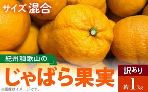 AB7033n_（国産）紀州和歌山の じゃばら 果実（訳あり ジャバラ 家庭用）1kg 国産 紀州 和歌山 じゃばら 果実 訳あり 家庭用