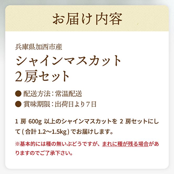 【令和8年産】シャインマスカット 2房 セット 約1.2～1.5kg ぶどう 葡萄 ブドウ マスカット 種なし 高級ぶどう フルーツ 果物 くだもの 季節のフルーツ 旬のフルーツ