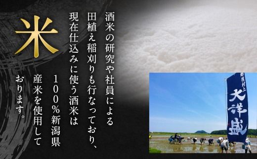 【定番酒晩酌セット】大洋盛セットHSW（720ml飲み比べ3本セット） 日本酒飲み比べセット 淡麗辛口 四合瓶 大洋酒造 1009006