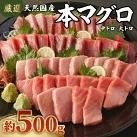 【数量限定】 厳選 天然本マグロ 中トロ・大トロ 500ｇ以上 国産 鮮魚 マグロ 魚 刺身 刺し身 漬け丼 海鮮丼 おかず 魚介類 海鮮 海産物 まぐろ 本まぐろ 鮪 ブロック 惣菜 冷凍 美阿丸 高知県 室戸市