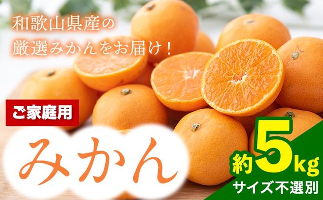 【訳あり/ご家庭用】和歌山県産みかん 約5㎏【サイズ混合】 サンファーム《10月上旬-1月下旬頃出荷》和歌山県 紀の川市---wsk_saf13_1j3m_26_11500_10kg---