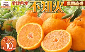 【栽培期間中農薬不使用】【先行受付】【数量限定】農園直送！愛媛県産不知火 10kg （2026年1月上旬頃より順次発送） IKTG008