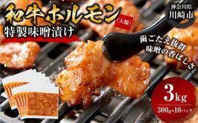 ホルモン 大腸 味噌漬け 3kg ( 300g × 10 ) 歯ごたえ抜群 小分け 使いやすい 味付き 調理便利 焼肉 野菜炒め ホルモン炒め 訳あり 不揃い 和牛 冷凍 配送時期が選べる 個包装 冷凍保存 アウトドア キャンプ おすすめ 人気