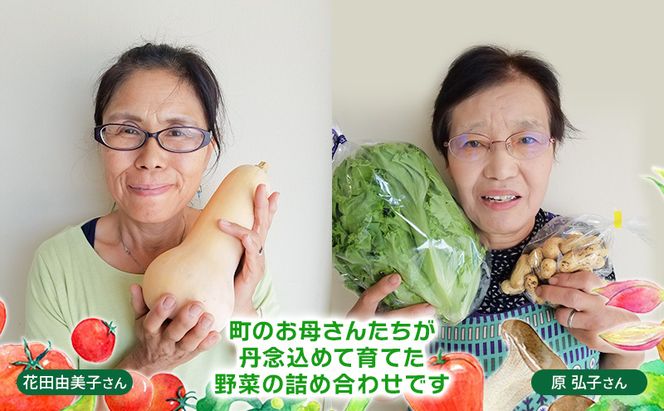 【定期便 年6回】おいしかぁ～便 詰め合わせセット 6ヶ月 お楽しみ ファミリーセット 家族用 野菜 やさい 米 新鮮 新鮮野菜 家庭用 新鮮 福岡県 大刀洗町