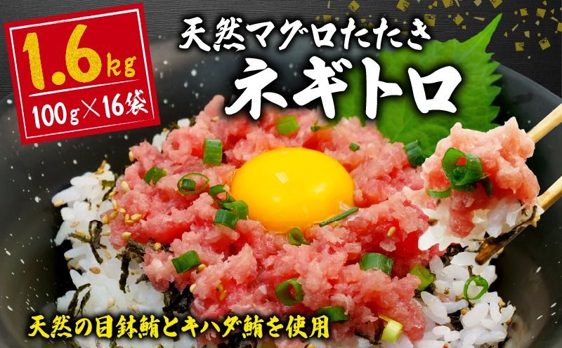 [2025年8月発送] 訳あり ネギトロ まぐろ 約1,6kg 数量限定 期間限定 企画 で お届け 16袋 100g × 16パック小分け ねぎとろ 鮪 まぐろのたたき 魚 さかな 魚介 新鮮 天然 目鉢 マグロ キハダ 冷凍 すきみ タタキ 寿司 すし 手巻き寿司 人気 おすすめ 送料無料 静岡県 藤枝 ふるさと人気