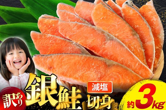 y{錧Csz󂠂 Y   ؐg d 3kg [{X {錧 Cs 20565551]   T[  CN  É T  TP ؐg VP ؂g ؂g ȈՕ KiO s ƒp Ⓚ