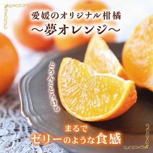 【先行予約】訳あり みかん職人の夢おれんじ 小粒っ子 5kg オレンジ みかん 柑橘 果物 フルーツ 愛媛 みかん職人武田屋 蜜柑 愛果28号 愛媛果試第28号 まどんな 小玉 蜜柑 甘い 甘さ みかん かんきつ らんきんぐ 柑橘 冬 旬 食べごろ 農家 農家直送 農園 人気 みかん職人 武田屋 産直 みかん職人武田屋 愛媛県