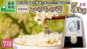 【選べる 玄米 精米】令和7年産 茨城県産 いのちの壱 5kg 米 こめ コメ 農家 直送 こだわり お米 おこめ 茨城 [BG013ya] [BG014ya]