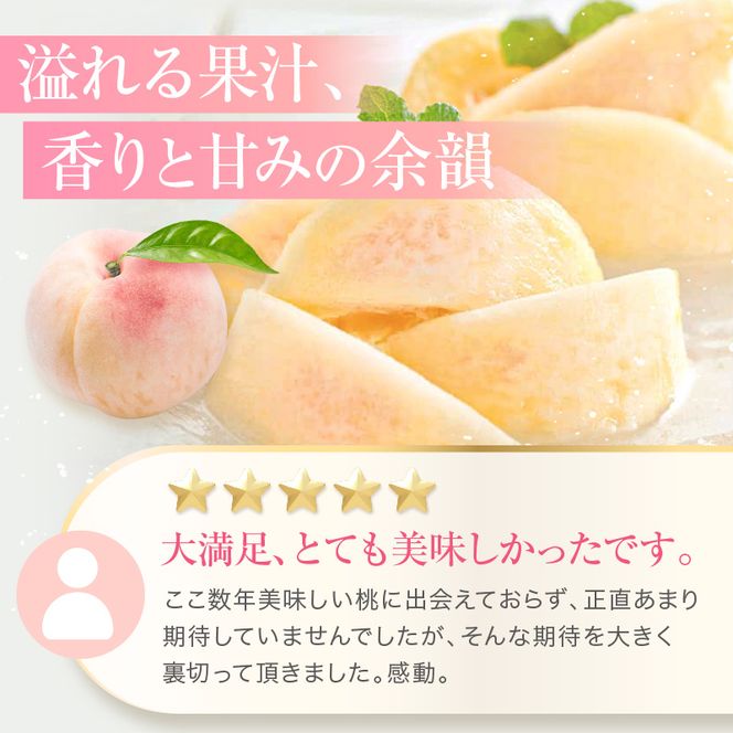 桃 2026年 先行予約 赤磐の 白桃 約2.0kg 6～8玉 JA晴れの国 糖度センサー選果 もも モモ 岡山県 赤磐市産 国産 フルーツ 果物 ギフト デザート 果肉 