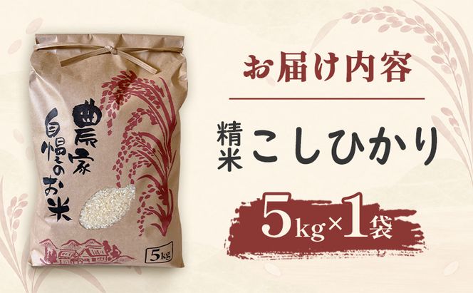米 こしひかり5キロ(令和8年産) 若狭・天狗山農園 お米 こめ コメ 精米 ご飯 ごはん コシヒカリ 福井県 若狭町