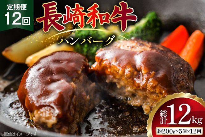 AJ588 【12回定期便】長崎和牛 ハンバーグ 約1kg (200g×5個) [ 肉 牛肉 和牛 おいしい ひき肉 焼くだけ おかず まるしん商会 黒牛 長崎県 島原市 ]