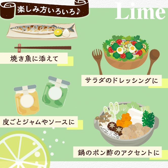 数量限定！有機JAS オーガニックレモン・ライム食べ比べセット(合計約2kg) 国産 レモン 檸檬 ライム 果実 果物 フルーツ 柑橘 デザート 期間限定 有機栽培 健康志向【中村農場】akn084-04