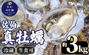 佐伯真牡蠣 鶴見産 (約3kg) 牡蠣 カキ 新鮮 小分け 生牡蠣 生カキ カキフライ 鍋 大分県 佐伯市【生食可】【EW062】【Up】