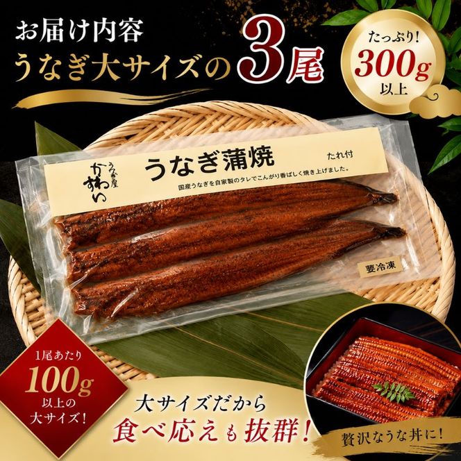 国産うなぎ  蒲焼き 大サイズ 3尾セット(合計300g) タレ付き 国産 うなぎ ウナギ 鰻 蒲焼 かば焼き 3尾 セット 惣菜 冷凍