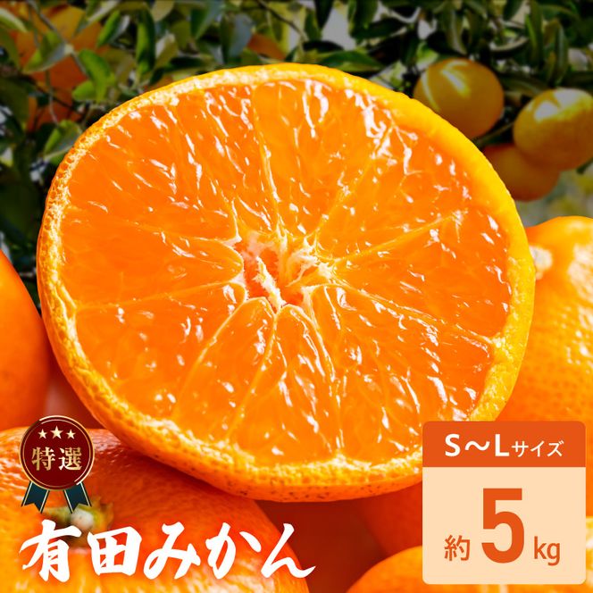特選 有田みかん 和歌山 S～Lサイズ 大きさお任せ 約5kg_DZ6232