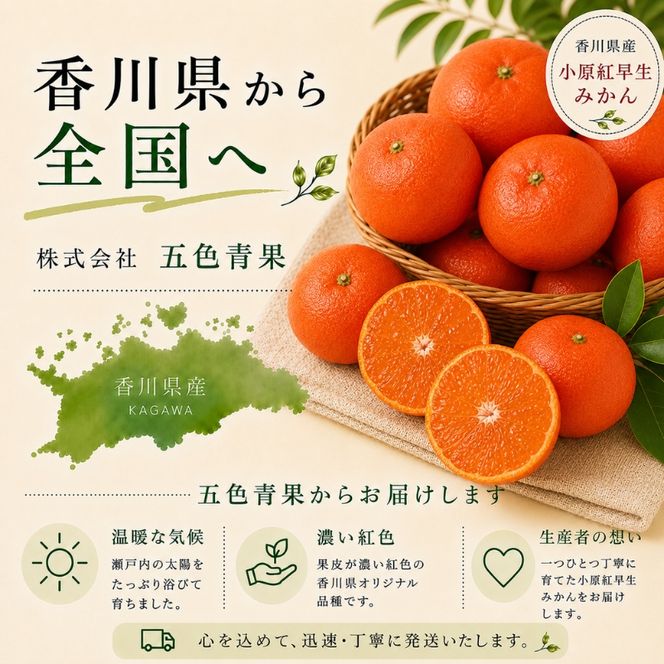 小原紅早生みかん　約5kg 果物類 柑橘類 フルーツ 