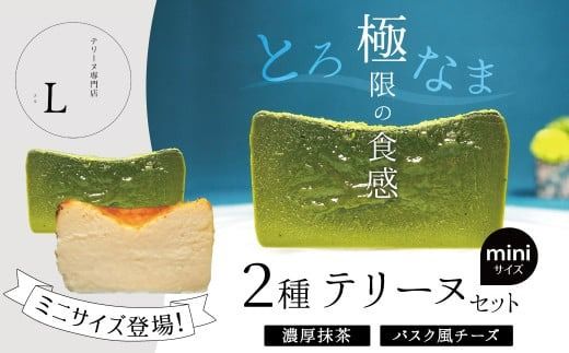 ミニサイズ濃厚抹茶・バスク風チーズ2種のテリーヌセット【グルテンフリー・保存料不使用】抹茶 スイーツ 西尾抹茶 H173-014