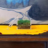 【銀座花粂】清水寺の苔 春 (3月20日頃到着 寄付日：2月3日から3月1日の方) 261009_A-SM001