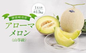 御前崎市産アローマメロン（山等級）1玉入り 222232_AQ006
