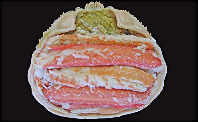 松葉蟹 ほぐし身（特大）活き蟹 1000g級使用 甲羅盛り 〈お申込み～2026年7月中旬発送〉 蟹 カニ かに 松葉蟹 松葉ガニ ズワイガニ 剥き身 殻なし