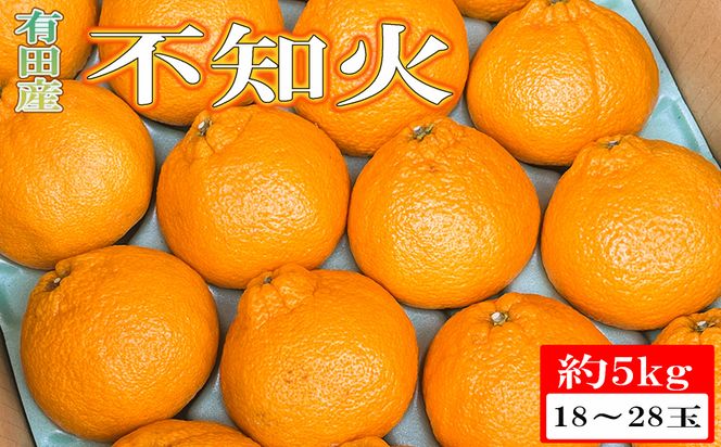 【濃厚】有田の不知火約5kg（18玉～28玉おまかせ） ※2027年2月中旬～2027年4月中旬頃に順次発送予定（日付指定不可）【tec860A】