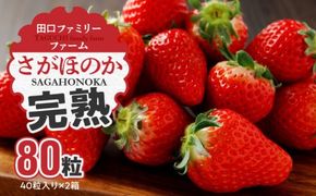 【田口ファミリーファーム】いちご(さがほのか) 40粒入り×2箱(1月中旬発送開始) N053-YB337