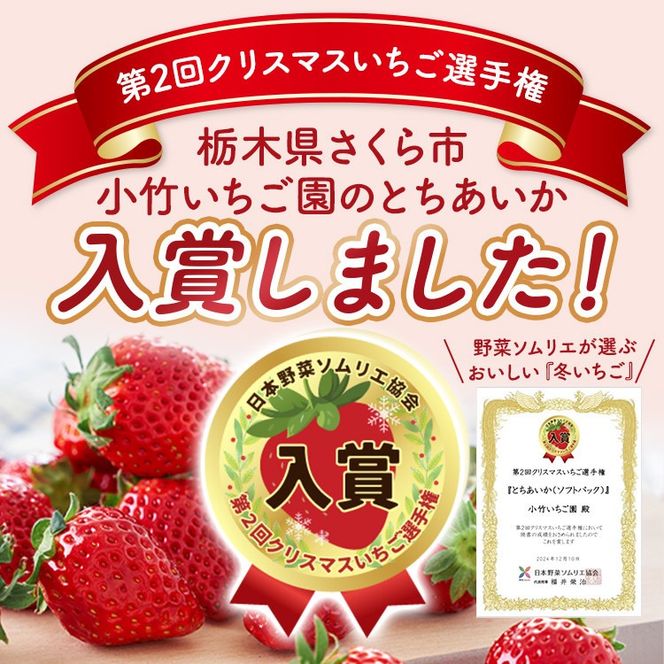 《数量限定》新旧2種食べ比べセット（とちおとめ、とちあいか） 270g×2パック（540g）｜いちご イチゴ 苺 先行予約 栃木県 果物 くだもの フルーツ とちおとめ とちあいか 新鮮 贈答 ギフト 食べ比べ ※2027年1月～発送