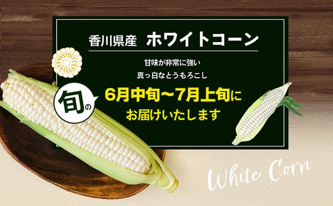 ホワイトコーン 約2.5kg 野菜 とうもろこし 野菜セット 