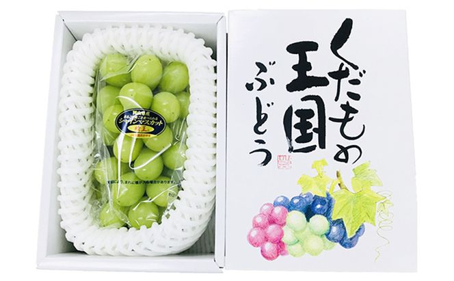 【2026年先行予約】 ぶどう 岡山県産 シャインマスカット 晴王 厳選 1房 約700g 大房 岡山県 倉敷市 船穂産 《2026年6月中旬-7月上旬頃出荷》 葡萄 ブドウ フルーツ 果物 スイーツ 数量限定 期間限定 里庄町 